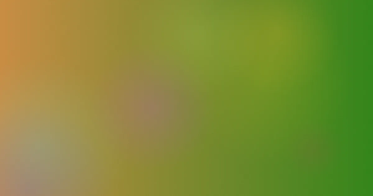 宝儿测评：新粉别踩坑